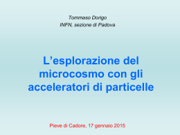 La Fisica delle Particelle Elementari: una introduzione