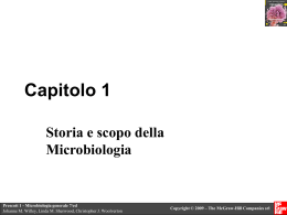 vedi esempio Capitolo 1