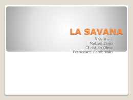 LA SAVANA di Matteo Ziino, Francesco Dambrosio e Christian Oliva