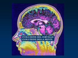 PowerPoint Presentation - neuropsicologiaeneuropsichiatria.it