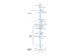 OXPHOS - Sistemi Navetta