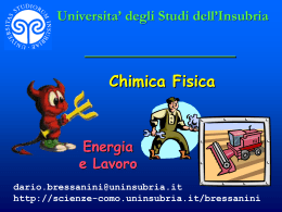 Energia, storia e lavoro - Università degli Studi dell`Insubria