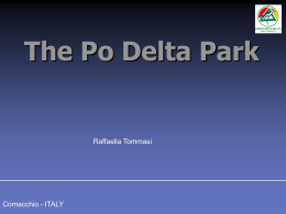 The Po Delta Park