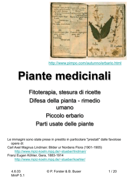 Piante medicinali - Enciclopedia di medicina popolare