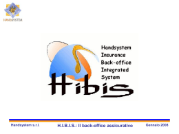 4 Handsystem srl HIBIS: Il back