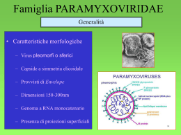 Paramyxovirus - Sezione Bulldog di Fossombrone