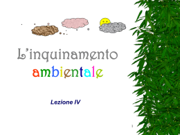 L`inquinamento ambientale