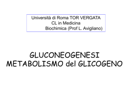 Gluconeogenesi epatica