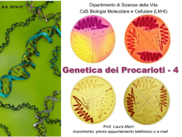 Genetica dei Procarioti 4 - Dipartimento di Scienze della vita