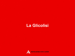 Lezione interattiva