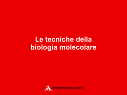 lezione5 - Mondadori Education