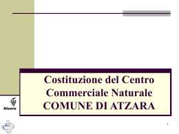 Costituzione del Centro Commerciale Naturale COMUNE DI ATZARA