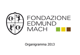 Organigramma FEM 01.01.2013 rielaborato2