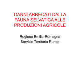 Danni - Provincia di Ravenna