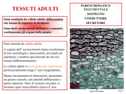 PARENCHIMATICI_2011_2012