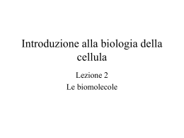 Lez. 2 biomolecole