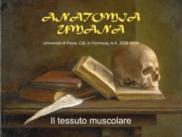 Lezione 4 - Università degli Studi di Pavia
