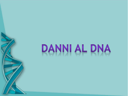 danni al dna2000