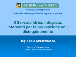 Prospettive del Servizio Idrico Integrato nella Regione Veneto