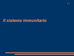 immunitario_bluFunzionante