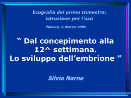 Lo sviluppo dell`embrione