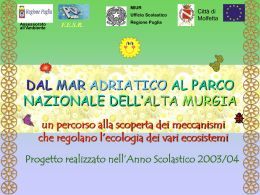Dall`Adriatico al Parco dell`Alta Murgia