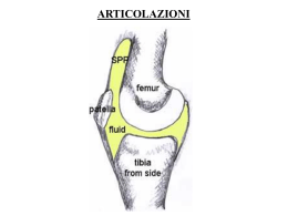 vnd.ms-powerpoint, it, 12534 KB, 3/29/07