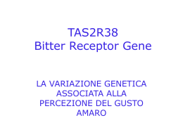TAS2R38 BITTER RECEPTOR GENE