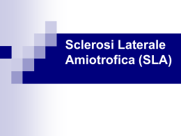 SLA - Altervista