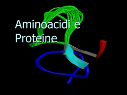 5.aminoacidi e proteine