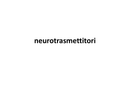 neurotrasmettitori