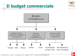 Il budget commerciale