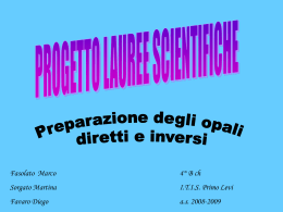 Progetto Lauree Scientifiche - Università Ca` Foscari di Venezia