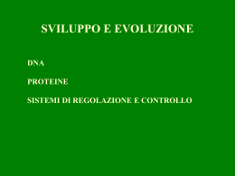 Sviluppo ed Evoluzione - Istituto Comprensivo Spinea 1