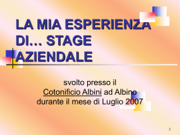Relazione stage Sara Camozzi a.s. 07/08