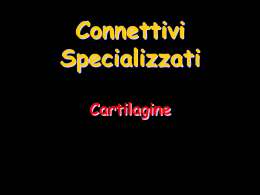 4) Cartilagine - il sito del Sommo Fabio