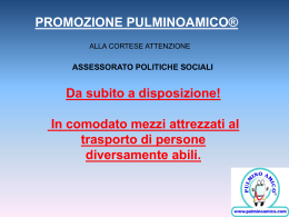 Diapositiva 1 - Pulmino Amico