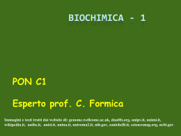 Biochimica-1