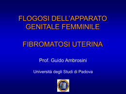 FLOGOSI DELL`APPARATO GENITALE FEMMINILE
