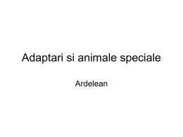 Adaptari si animale speciale - clasaiv-mariusbirsan