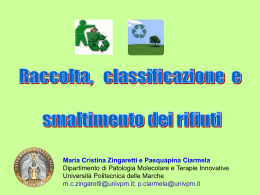 sicurezza_8 - Lavoro scientifico del mese
