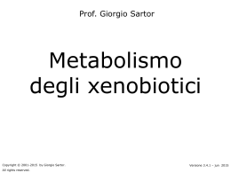 Metabolismo degli xenobiotici - Home page @charlie.ambra.unibo.it