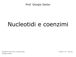 IV. Nucleotidi e coenzimi - Home page @charlie.ambra.unibo.it