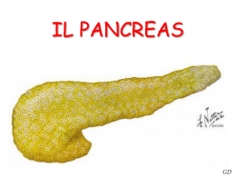 PANCREAS_aa.2011