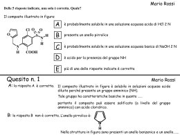 Presentazione di PowerPoint