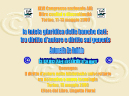 Tutela giuridica delle banche dati