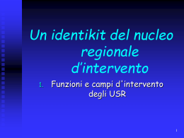 Un identikit del nucleo regionale d`intervento