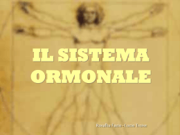 IL SISTEMA ORMONALE L`uomo &egrave; un animale sociale in quanto la