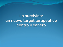 Survivina
