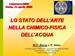 Mario V. Russo, Pasquale Avino